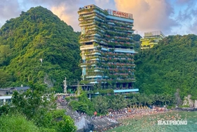 Cát Bà đón hơn 1,3 triệu lượt khách quốc tế, tăng 26% so với năm 2024