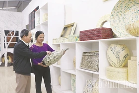 Kinh tế tập thể đón cơ hội, tạo sức bật