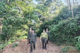 Những “người lính” gác rừng