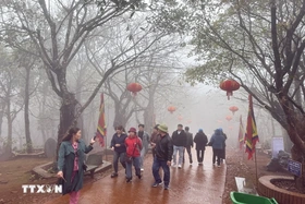 Bắc - Trung Bộ đón không khí lạnh, nhiều nơi mưa rét trong ngày đầu năm 2026