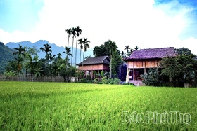 Hấp dẫn du lịch cộng đồng bản Thái Mai Châu