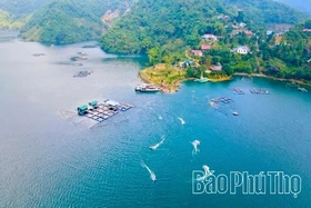 Tan Hoa - A place with untapped tourism potential