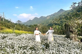 Phu Tho Welcomes nearly 305,000 Tourists During New Year Holiday