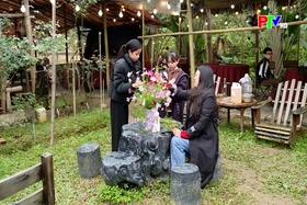 Trải nghiệm không khí Tết sớm – thu hút khách du lịch Tết Dương lịch