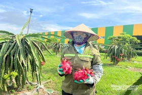 Thanh Hóa lan tỏa phong trào sản xuất sạch gắn với bảo vệ môi trường