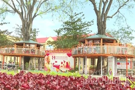 Thắp lửa văn hóa đọc trong học đường