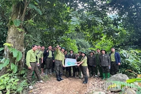 Nỗ lực bảo vệ và phát triển rừng bền vững