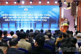 Implementing New Laws on Investment, Bidding, and Land to Enhance the Business Environment