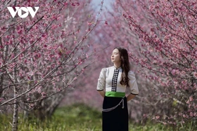 Điện Biên đổi mới cách làm du lịch, tạo bứt phá cho năm 2026