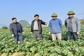 Hợp Kim đưa nghị quyết của Đảng vào cuộc sống