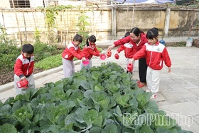 Chú trọng giáo dục ý thức bảo vệ môi trường cho trẻ mầm non