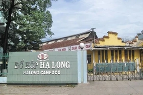 Bắt khẩn cấp Tổng Giám đốc Công ty Cổ phần Đồ hộp Hạ Long