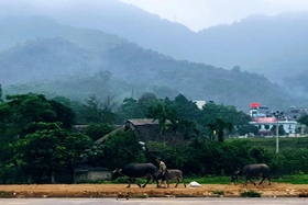 Ăn Tết trên bản mù sương