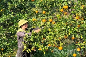 Yên Kỳ đẩy mạnh phong trào thi đua yêu nước