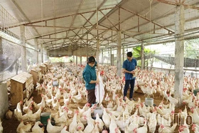 Hội Nông dân xã Tiên Lữ đồng hành cùng hội viên phát triển kinh tế