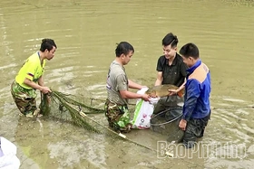 Hướng đi bền vững nâng cao thu nhập cho nông dân