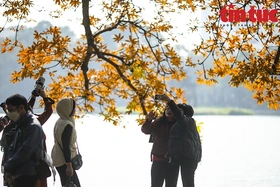 Thời tiết ngày 14/1: Bắc Bộ và Bắc Trung Bộ rét về đêm, Nam Bộ ngày nắng, biển động