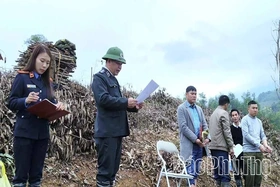 Tăng cường phối hợp để nâng cao hiệu quả thi hành án