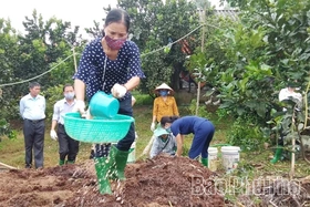 Tăng cường sử dụng phân bón hữu cơ để bảo vệ đất