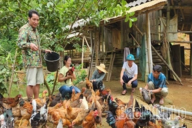 Nhà nông “bén duyên” công nghệ