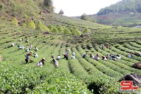 Khám phá du lịch Bình Thuận