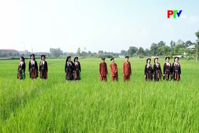 The unique charm of Soong Co folk singing