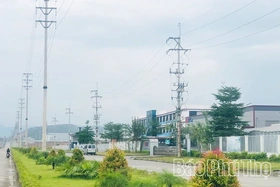 “Sweet Fruit” from Investment Attraction