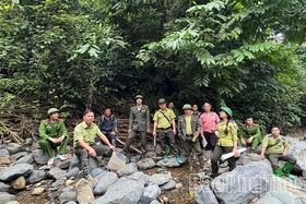 Giảm 41 vụ vi phạm hành chính trong lĩnh vực lâm nghiệp