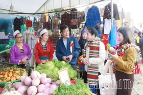 Tiên phong&nbsp;phát triển rau an toàn trên vùng cao Vân Sơn