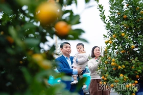 A Bustling Market for Tet Flowers