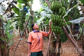 Lai Đồng phát triển nông nghiệp hàng hóa gắn với du lịch cộng đồng