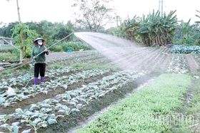 Khi nông dân làm giàu bền vững