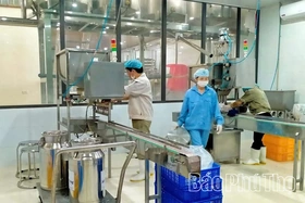 Người nông dân tiên phong sản xuất sữa theo tiêu chuẩn Châu Âu