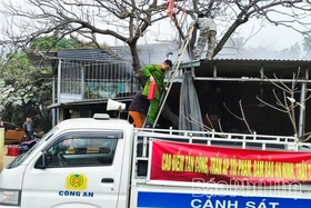 Kịp thời xử lý sự cố cháy cột điện không để xảy ra thiệt hại