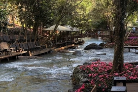 Hấp dẫn… Rừng Mơ