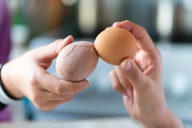 4 nhóm người nên ăn trứng hằng ngày