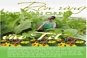 Rộn ràng làng bánh chưng vào Tết