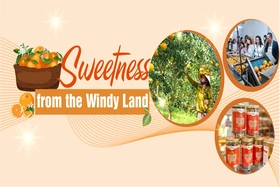 Sweetness from the Windy Land