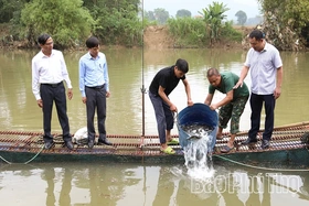 Khuyến nông - đòn bẩy giúp nông dân phát triển sản xuất