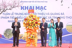 Khai mạc Tuần lễ trưng bày, giới thiệu và quảng bá sản phẩm tiêu biểu của các Hợp tác xã dịp Tết Nguyên đán 2026