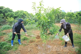 Đảm bảo nguồn vốn phục vụ phát triển vùng cam bền vững