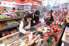 Thủ tướng đôn đốc thực hiện nhiệm vụ phục vụ nhân dân đón Tết Nguyên đán