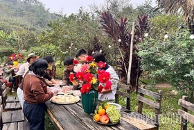 Trang trại hữu cơ Sen Vàng - Nơi thiên nhiên và lòng người hòa quyện