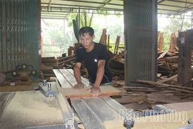 Năng động Tam Hồng