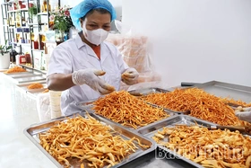 Nâng tầm giá trị nông sản địa phương