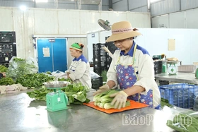 Hợp tác xã nông nghiệp thích ứng để phát triển