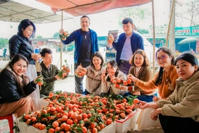 Chợ Bảm - điểm hẹn nông sản ngày Xuân