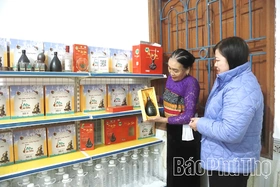 Rượu Láu Siêu - Thưởng thức hương vị ngày Xuân