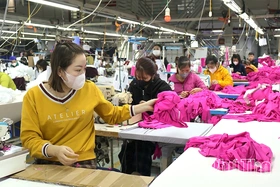 Giải quyết việc làm - trụ cột đảm bảo an sinh xã hội