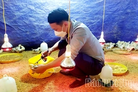 Xã hội hóa tiêm phòng giúp phát triển chăn nuôi bền vững